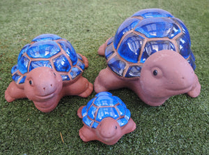 Glazed Turtles