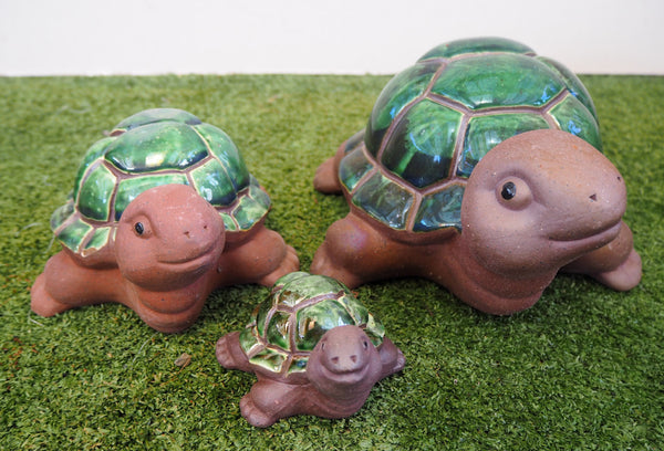 Glazed Turtles